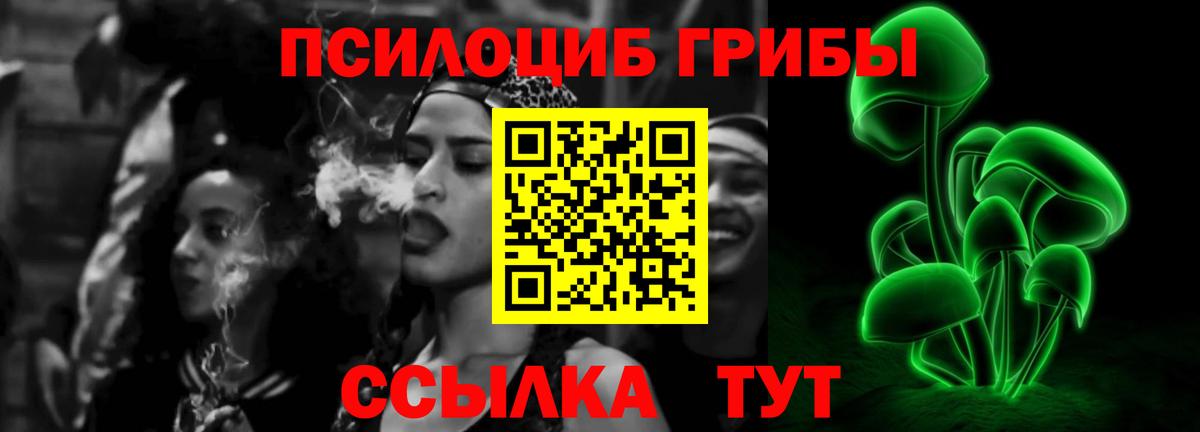 Липецк  цена наркотик  Вход с VPN  Псилоцибиновые грибы Psilocybine cubensis 